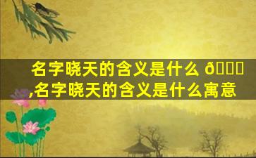 名字晓天的含义是什么 🐅 ,名字晓天的含义是什么寓意